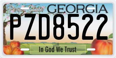GA license plate PZD8522