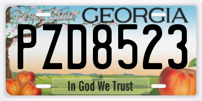 GA license plate PZD8523