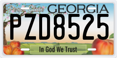 GA license plate PZD8525
