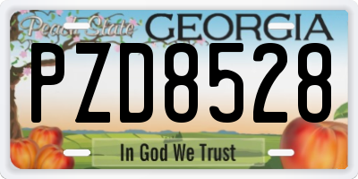 GA license plate PZD8528