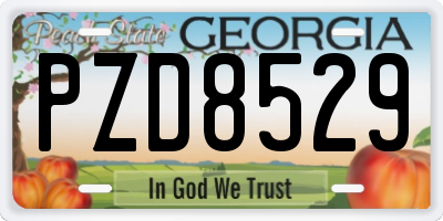 GA license plate PZD8529
