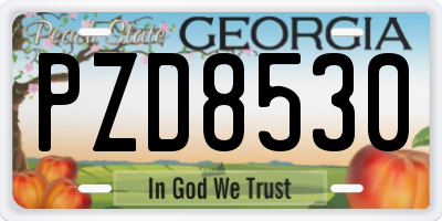 GA license plate PZD8530