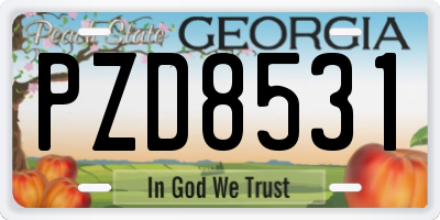 GA license plate PZD8531