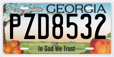 GA license plate PZD8532