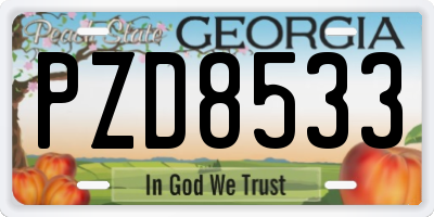 GA license plate PZD8533