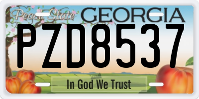 GA license plate PZD8537
