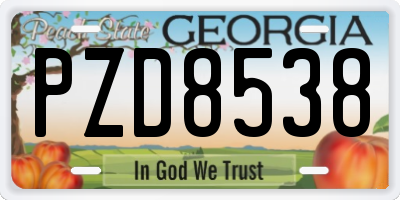GA license plate PZD8538