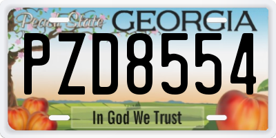 GA license plate PZD8554