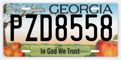 GA license plate PZD8558