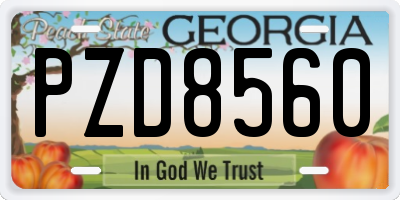 GA license plate PZD8560