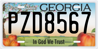 GA license plate PZD8567