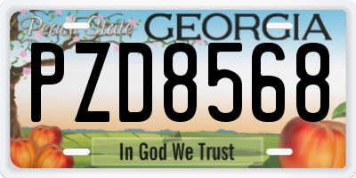 GA license plate PZD8568