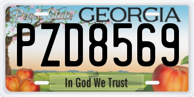 GA license plate PZD8569