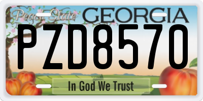 GA license plate PZD8570