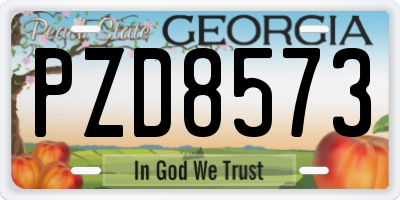 GA license plate PZD8573