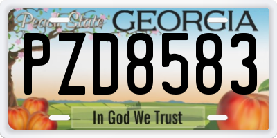 GA license plate PZD8583