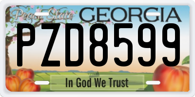 GA license plate PZD8599