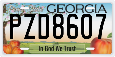 GA license plate PZD8607