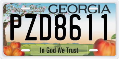 GA license plate PZD8611