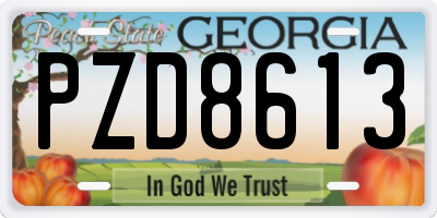 GA license plate PZD8613