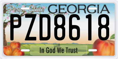 GA license plate PZD8618