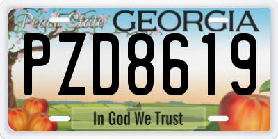 GA license plate PZD8619