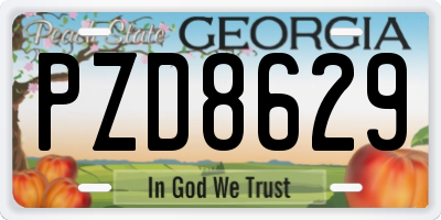 GA license plate PZD8629