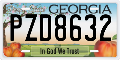 GA license plate PZD8632