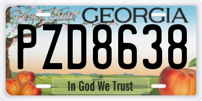 GA license plate PZD8638