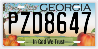 GA license plate PZD8647