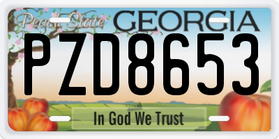 GA license plate PZD8653