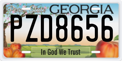 GA license plate PZD8656