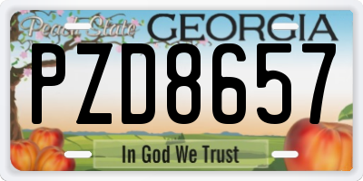 GA license plate PZD8657