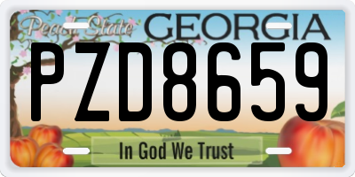GA license plate PZD8659