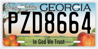 GA license plate PZD8664