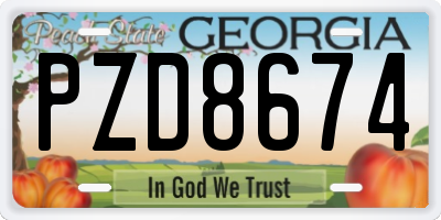 GA license plate PZD8674