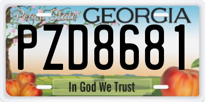GA license plate PZD8681
