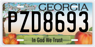 GA license plate PZD8693