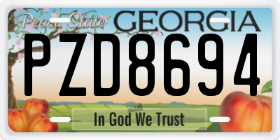 GA license plate PZD8694