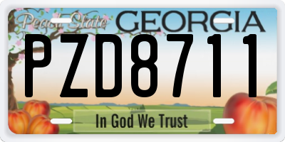 GA license plate PZD8711