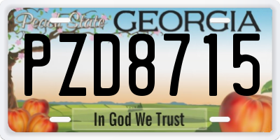 GA license plate PZD8715