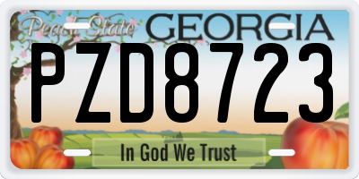 GA license plate PZD8723