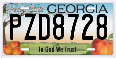 GA license plate PZD8728