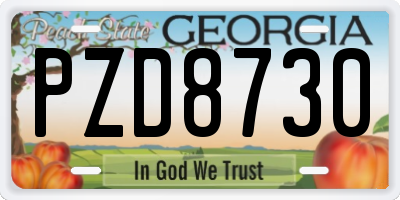 GA license plate PZD8730
