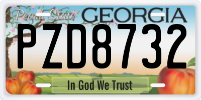 GA license plate PZD8732