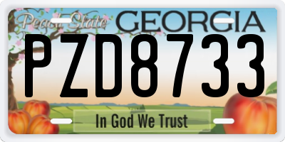 GA license plate PZD8733