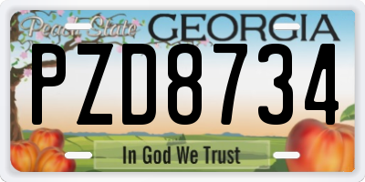 GA license plate PZD8734