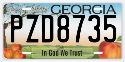 GA license plate PZD8735