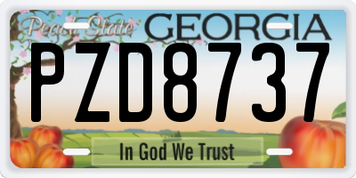 GA license plate PZD8737