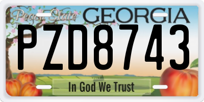 GA license plate PZD8743